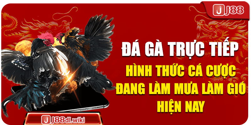 Đá gà trực tiếp - Hình thức cá cược đang làm mưa làm gió hiện nay