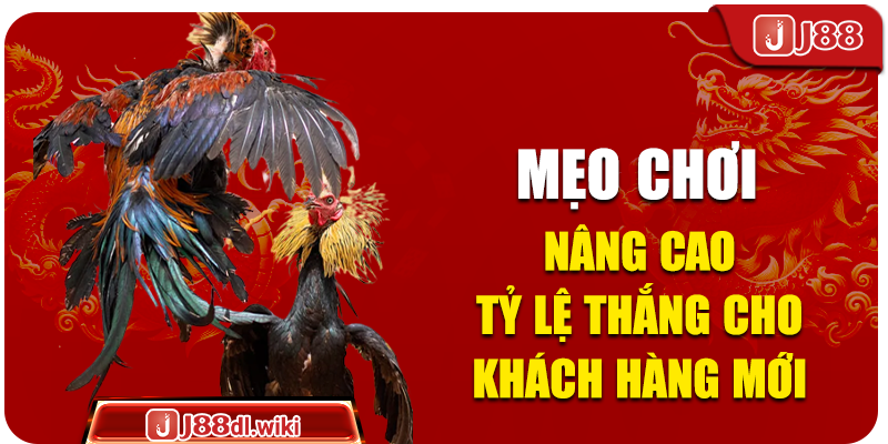 Mẹo chơi nâng cao tỷ lệ thắng cho khách hàng mới