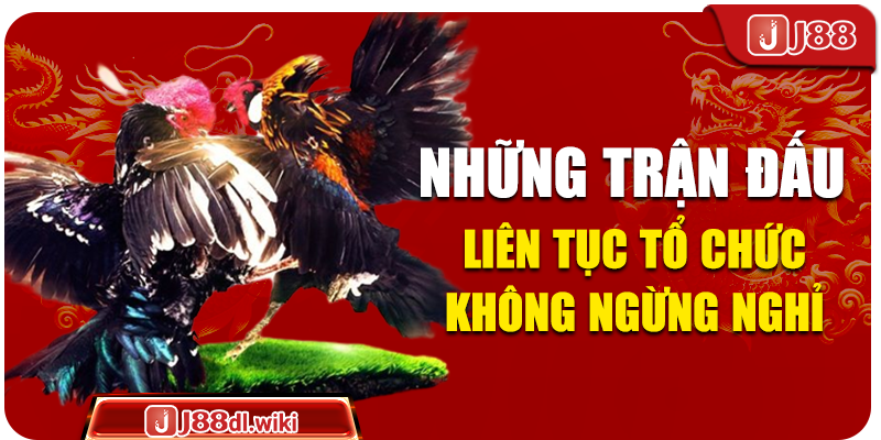 Những trận đấu liên tục tổ chức không ngừng nghỉ