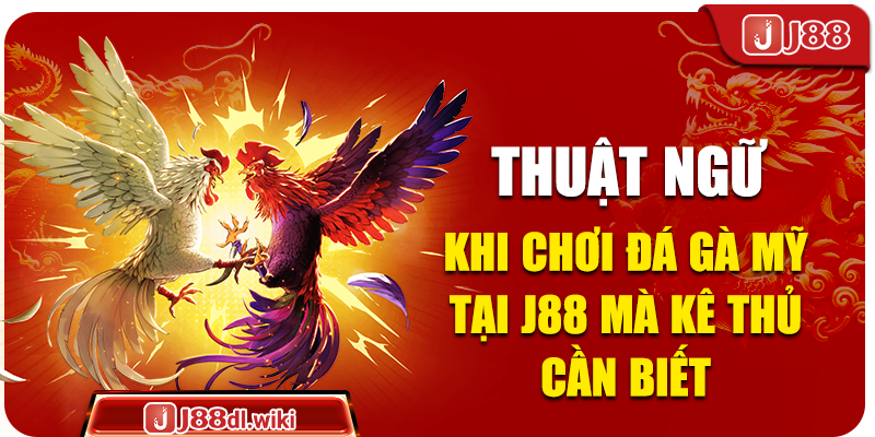 Thuật ngữ khi chơi đá gà mỹ tại J88 mà kê thủ cần biết