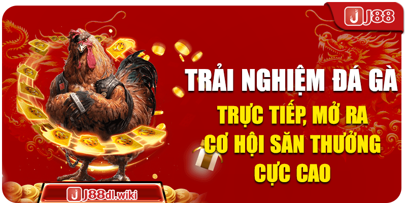 Trải Nghiệm Đá Gà Trực Tiếp, Mở Ra Cơ Hội Săn Thưởng Cực Cao